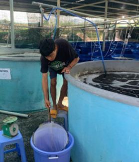 RAS aquaculture ProBio Media